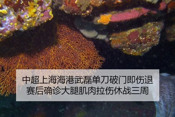 中超上海海港武磊单刀破门即伤退 赛后确诊大腿肌肉拉伤休战三周